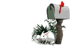 coniglio email.gif